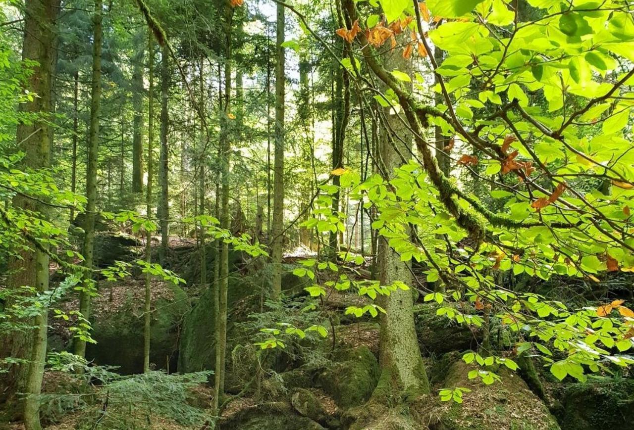 Ferienwohnung Paradies Weier Buitenkant foto