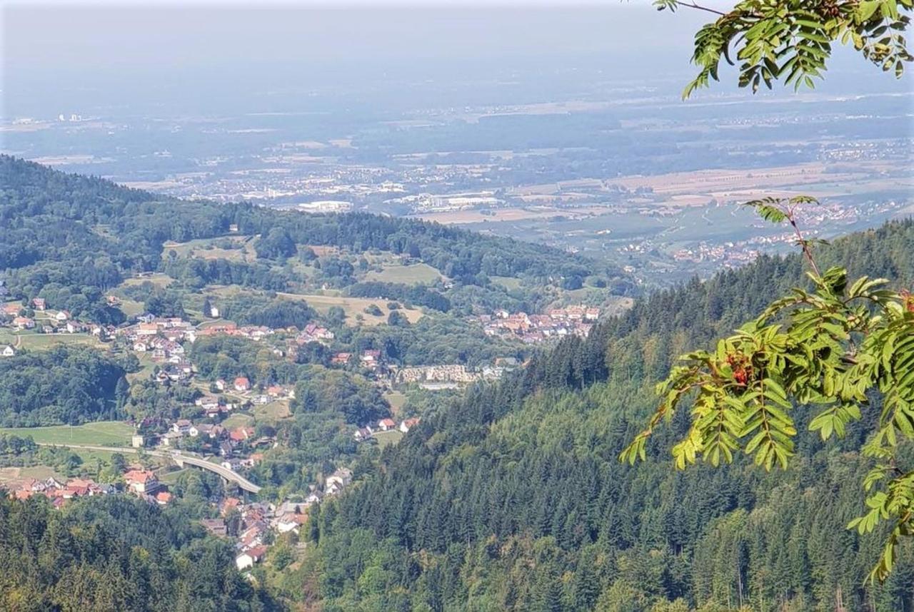Ferienwohnung Paradies Weier Buitenkant foto